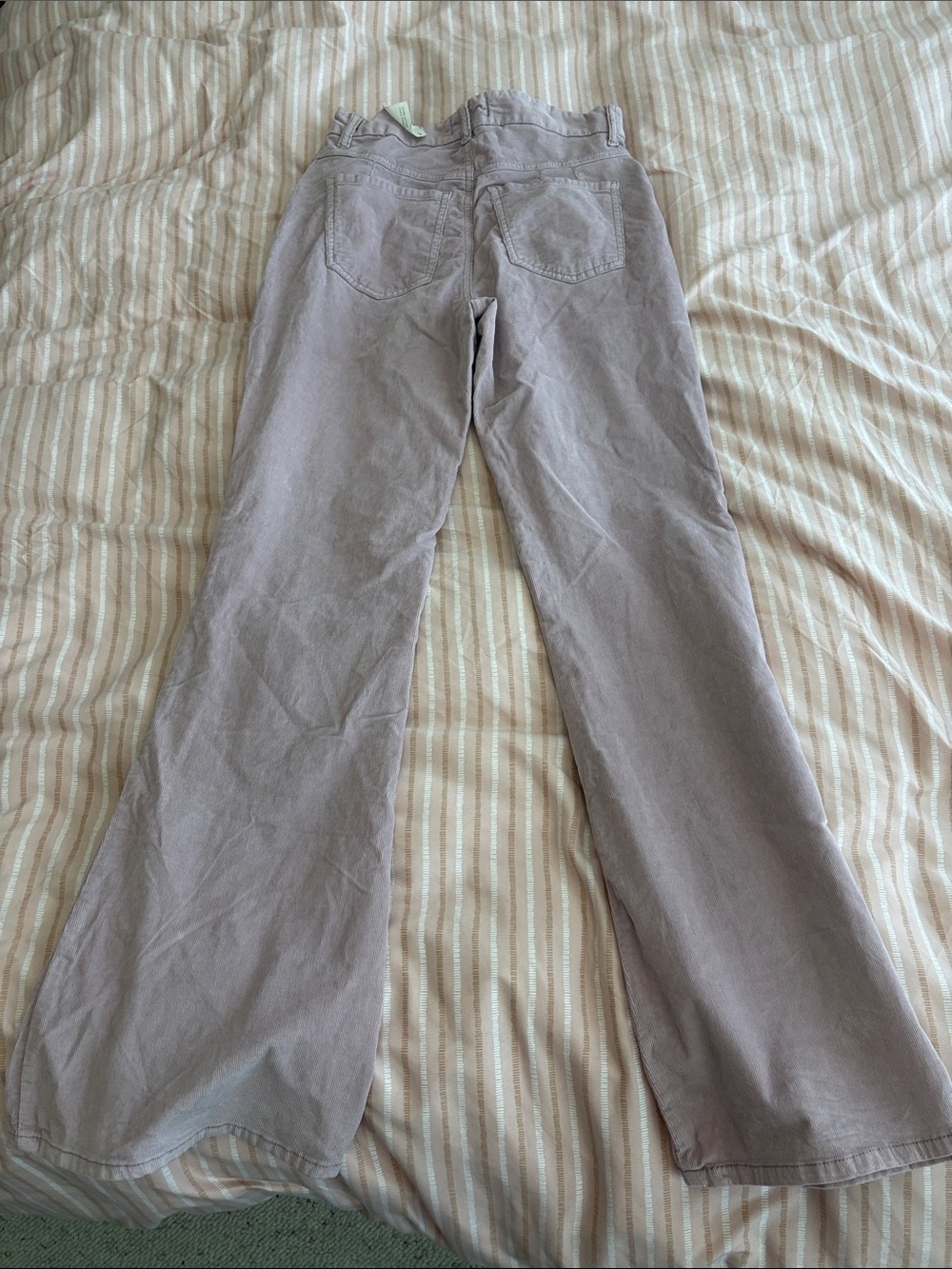 Free People Cord Flare Pants in Dusty Lilac